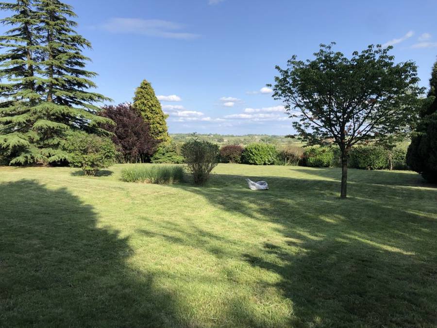 The same garden mown and tidy