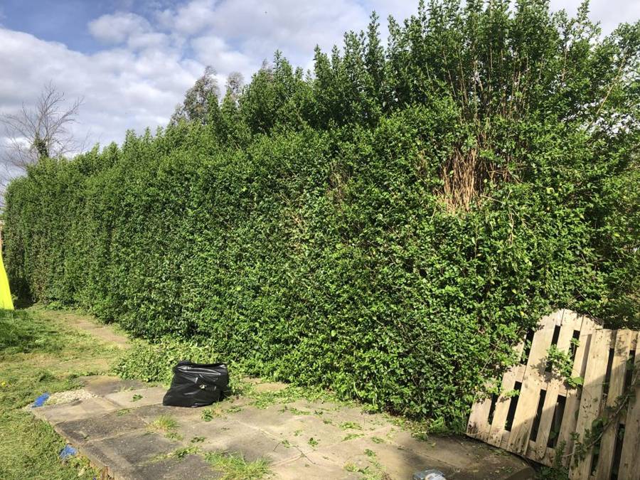 Hedge cutting across Leicestershire